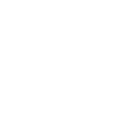 Holistic Approach Icon